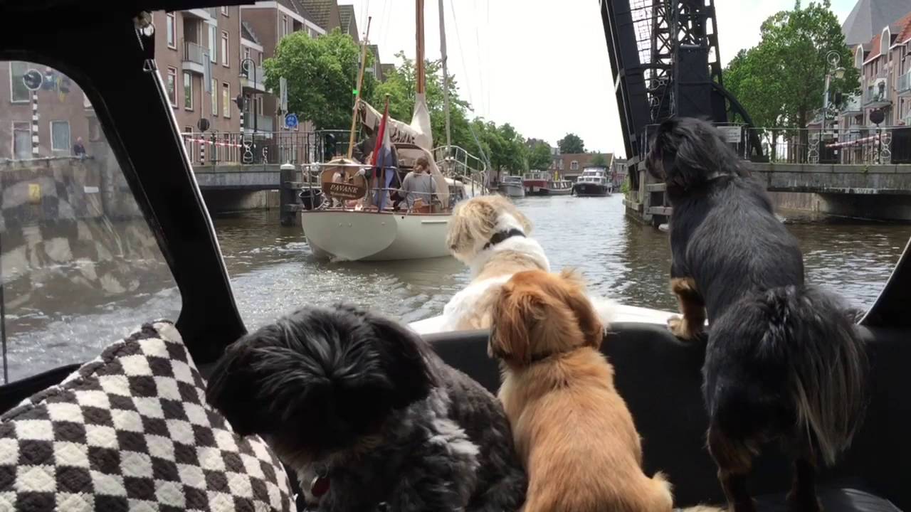 IT GIET OAN...DE ELFSTEDENVAART