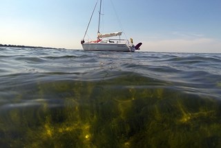 maaien-waterplanten-fonteinkruid