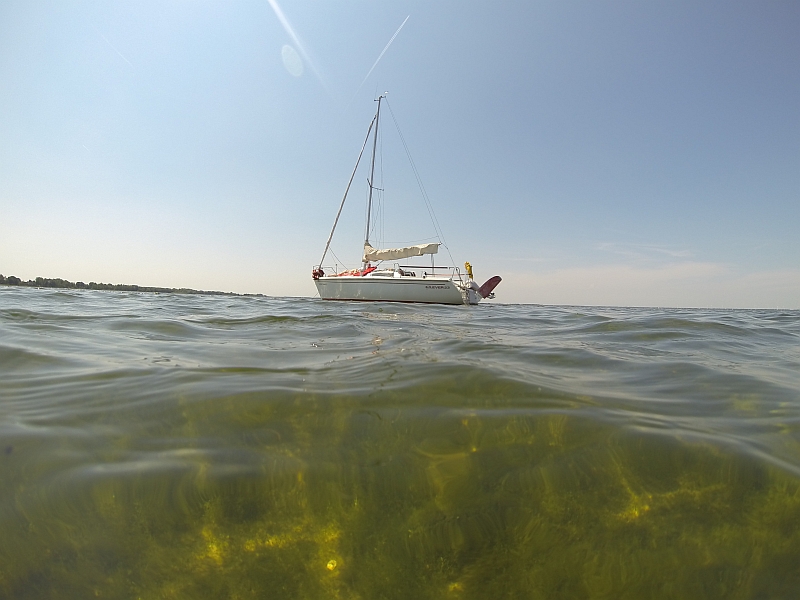 MAAIEN WATERPLANTEN RANDMEREN VAN START