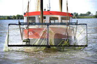 maaiboot_2