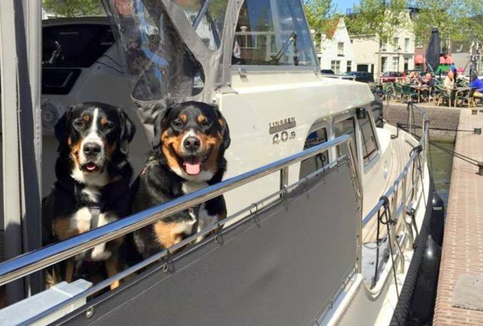 honden-aan-boord-hondvriendelijkheid-jachthavens