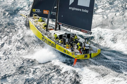 SCHILDPAD AAN ROERBLAD TEAM BRUNEL
