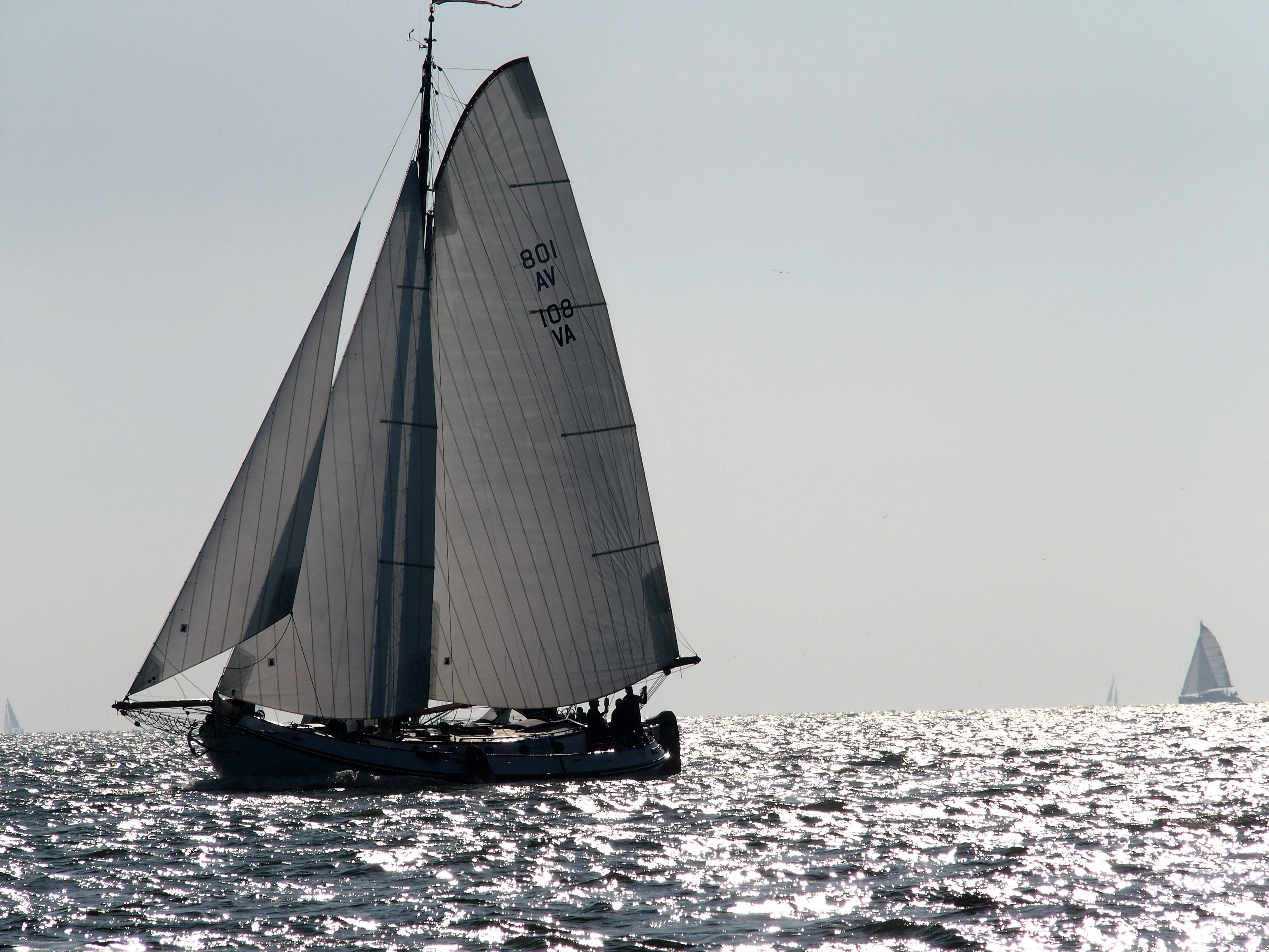 TRADITIONELE SCHEPENBEURS