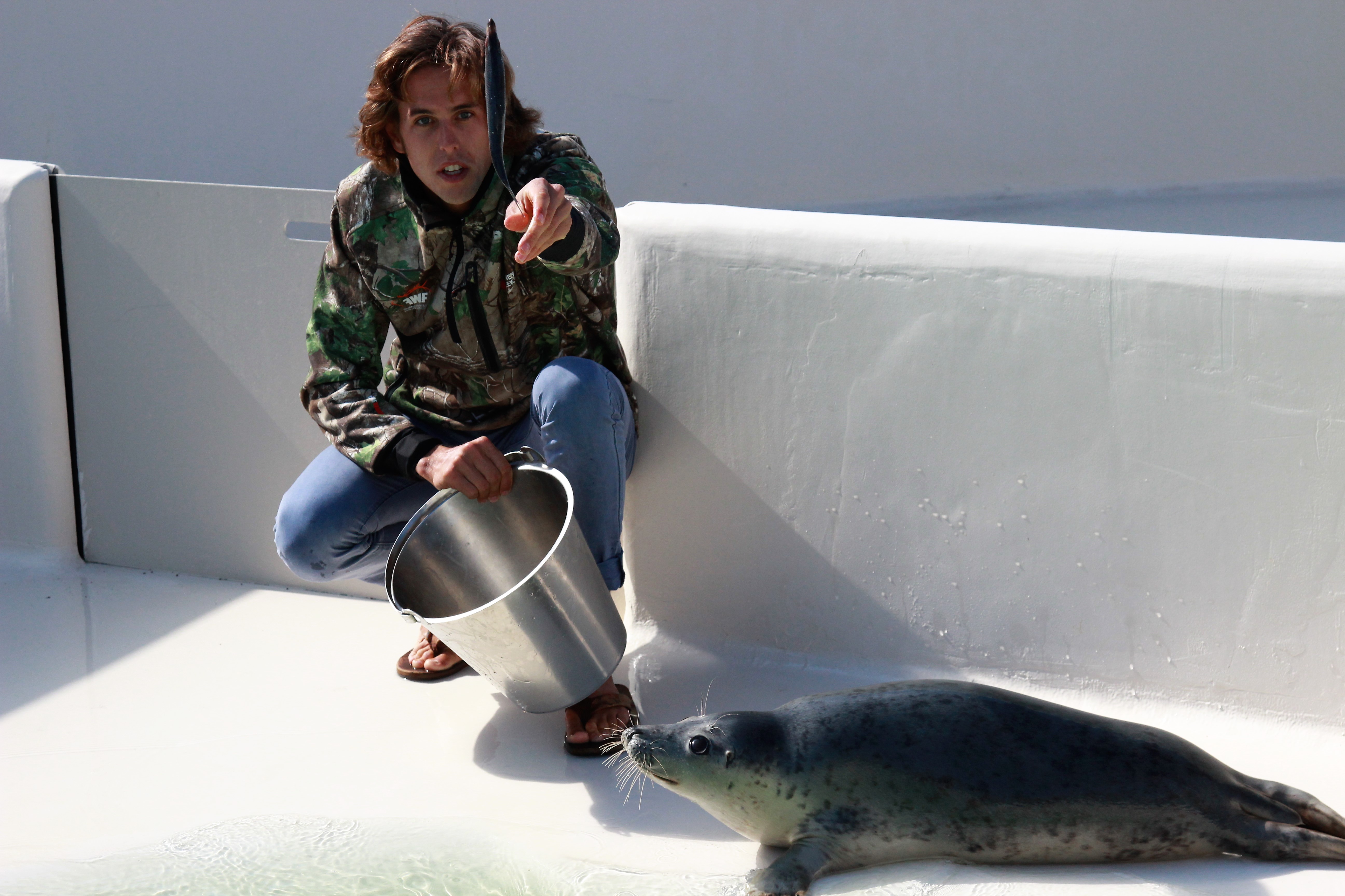 VAN RIJSSELBERGHE KUNSTENAAR VOOR GOEDE DOEL