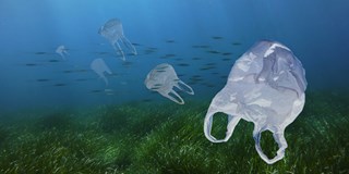 Plastic