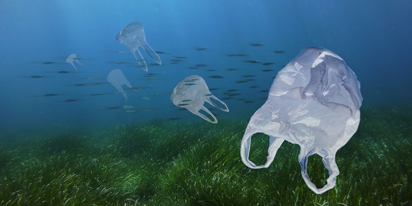 Plastic