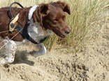 Waddenhaven 2