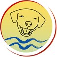 Honden