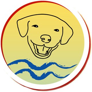 Honden