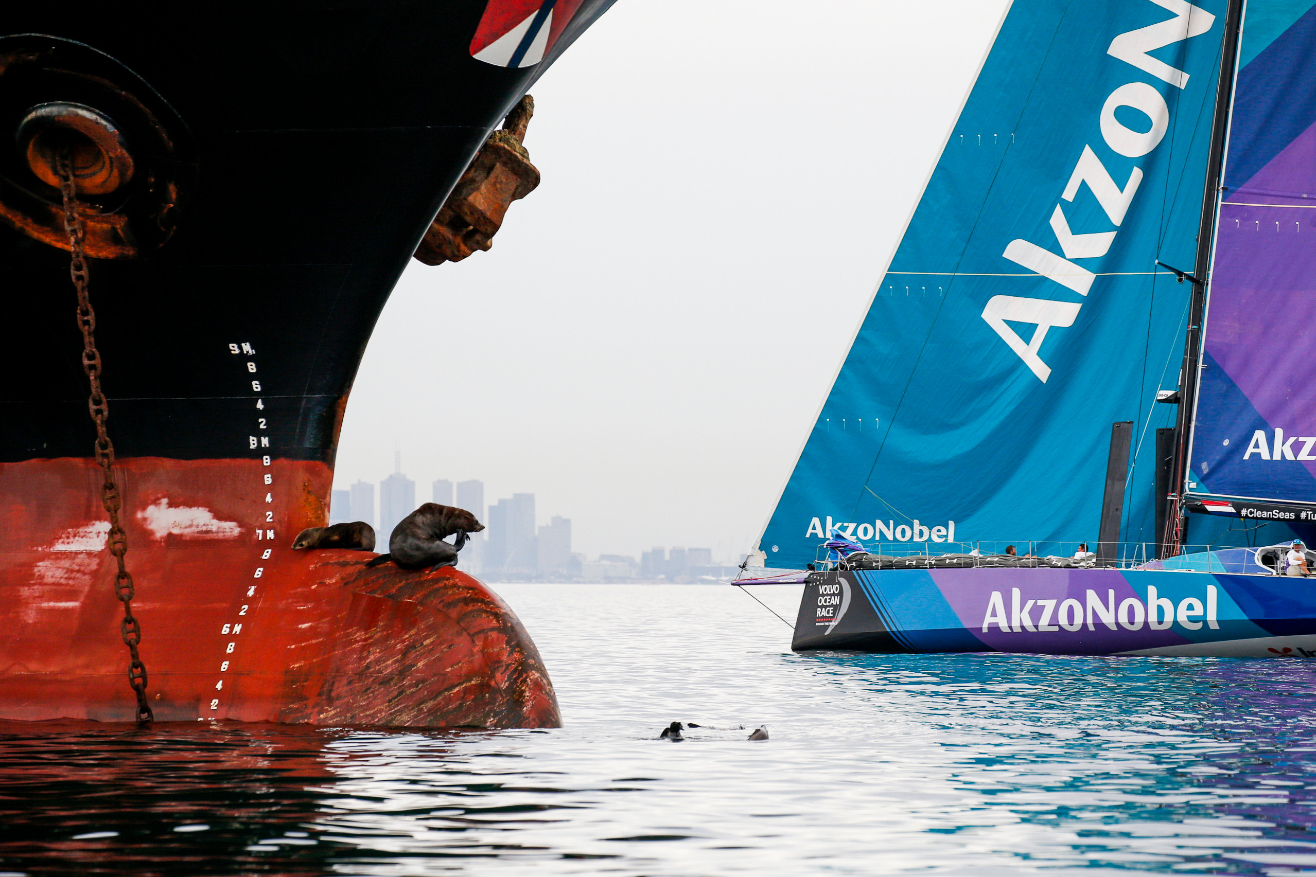 TEAM AKZONOBEL DRIJFT OVER FINISH IN MELBOURNE