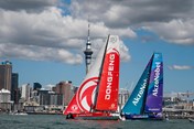Auckland haven