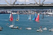 Auckland haven 2