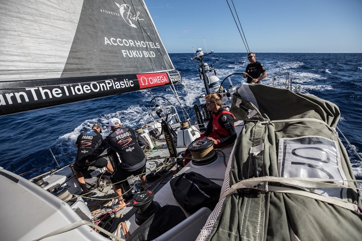 Leg 8 24 3