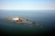 VOGELEILAND De Kreupel Andijk IMG_8501