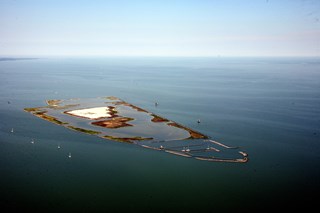 VOGELEILAND De Kreupel Andijk IMG_8501
