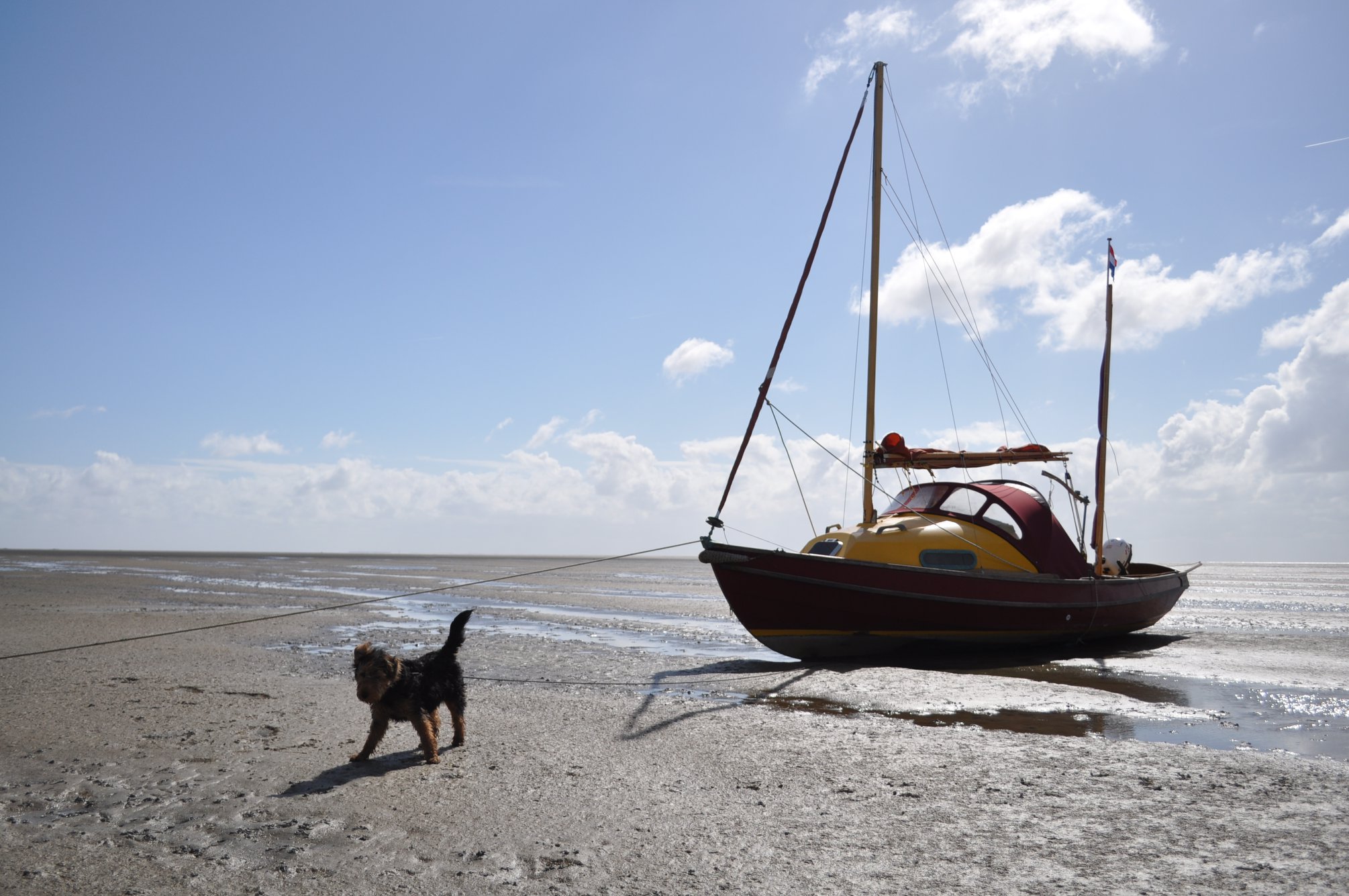 WADDEN AVONTURIER JAAP KIERS EN HOND ARIE