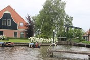 IMG_9162