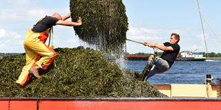 Waterplanten 1