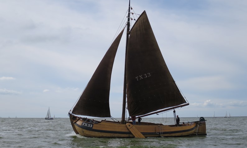 TX33