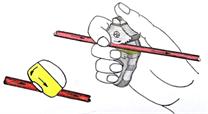 fig1