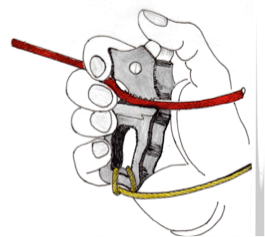 fig2