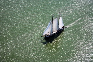 IMG_8307