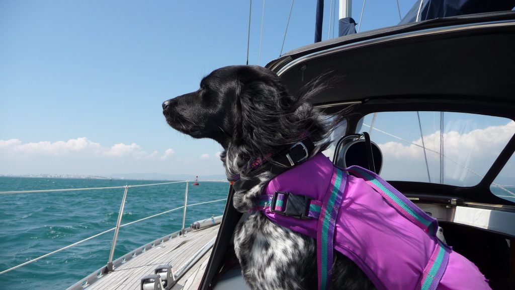 JACHTHAVEN BIESBOSCH KOPLOPER