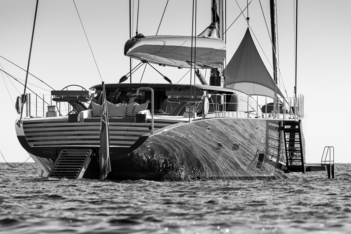 398-NGONI-41hull-Breedmedia29964