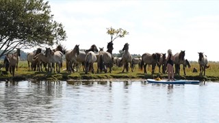 Mijn nieuwe videoproject18.jpg 20