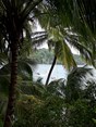 IMG-20181217-WA0000