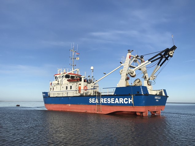 WAddenmoaiek