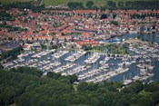 IMG_7949