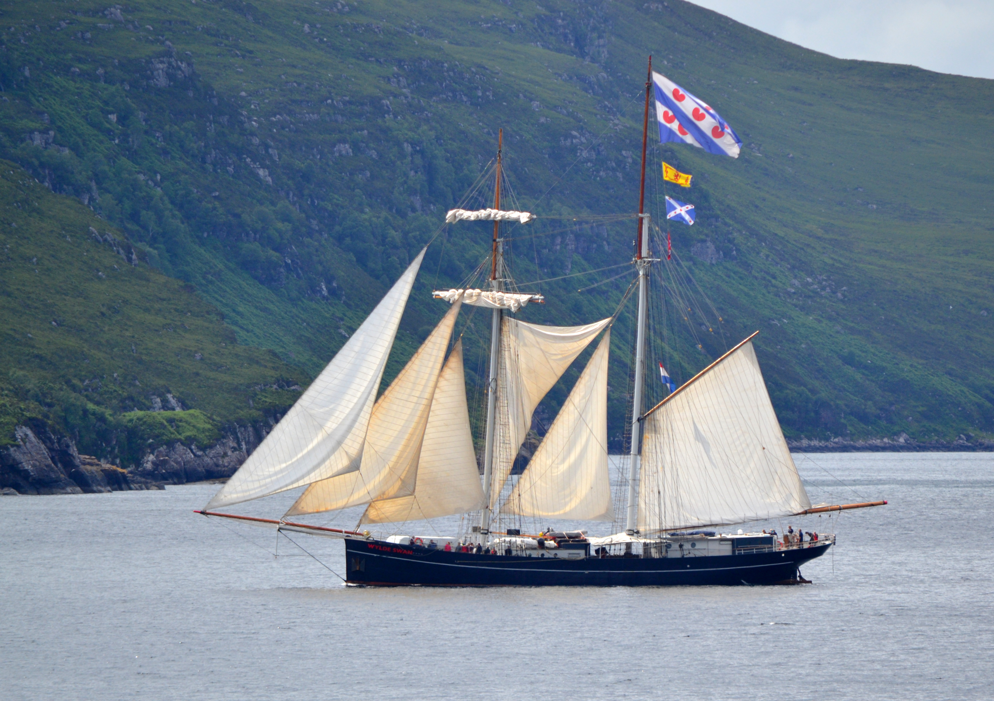 BREXITZORGEN BIJ TALLSHIP WYLDE SWAN