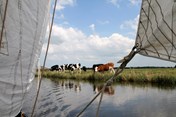 STOCK Vrijheid op het water