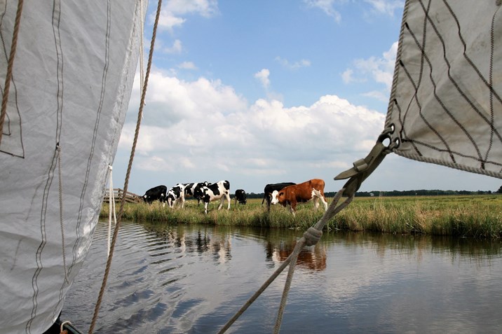 STOCK Vrijheid op het water