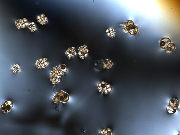 ZOET, ZOUT, WARM, KOUD...