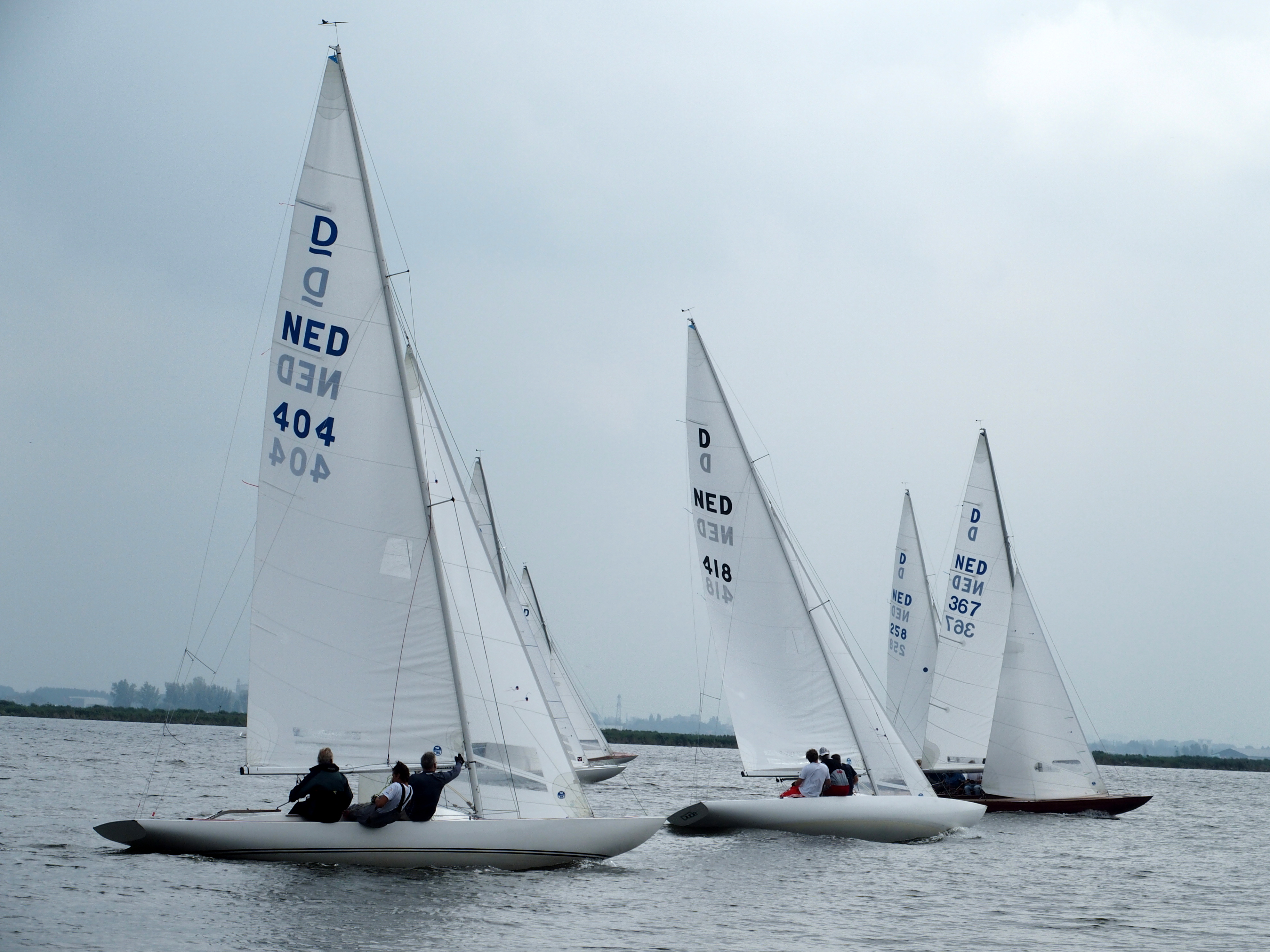 DRAGON GOLD CUP IN MEDEMBLIK