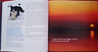 Boek 5 (13)