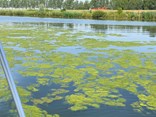 IMG-20190724-WA0005