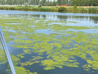 IMG-20190724-WA0005