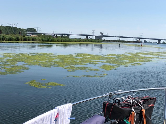 IMG-20190724-WA0008
