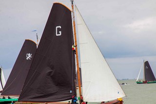 0803-anne-mst