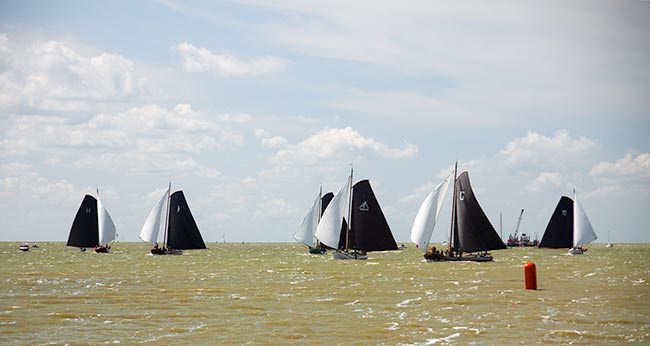 0808-grou