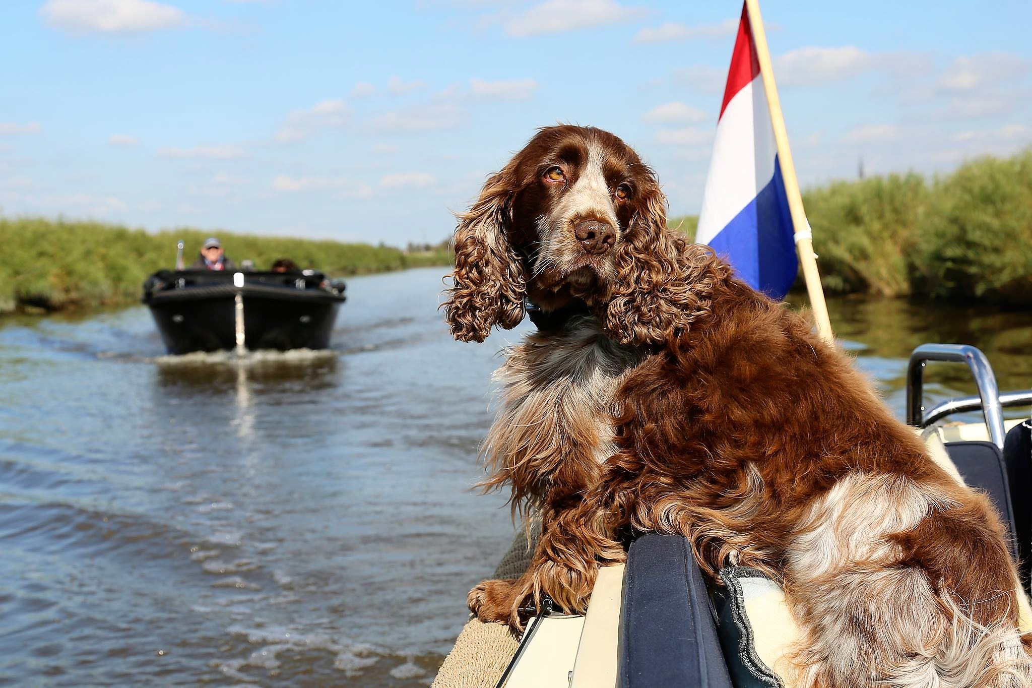 VERKIEZING LEUKSTE JACHTHAVEN VOOR HONDEN