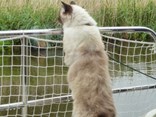 foto-5-deel-2