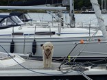 Watersport tv