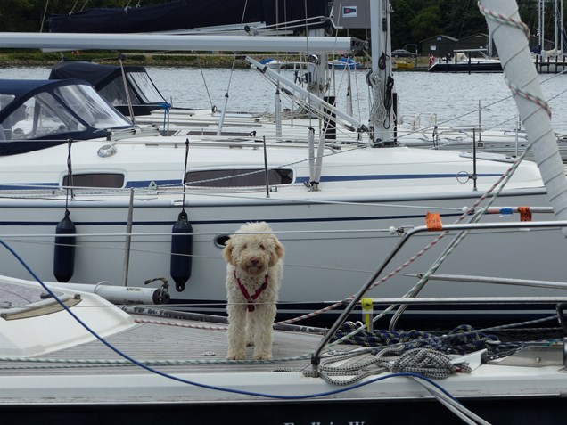 Watersport tv