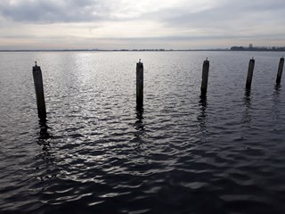 20181227_121046