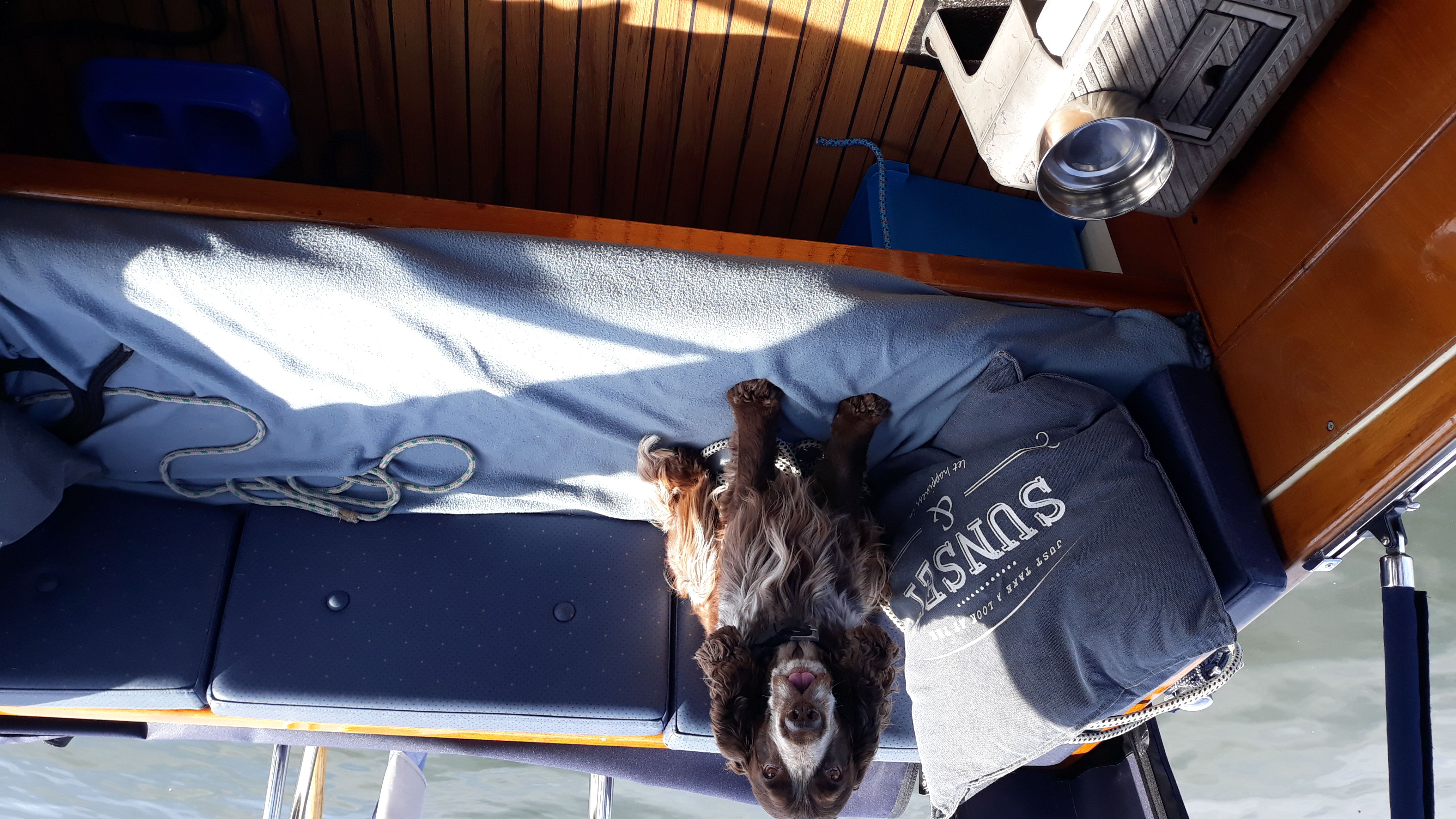 WSV GIESBEEK LEUKSTE 'HONDENHAVEN' VAN NEDERLAND