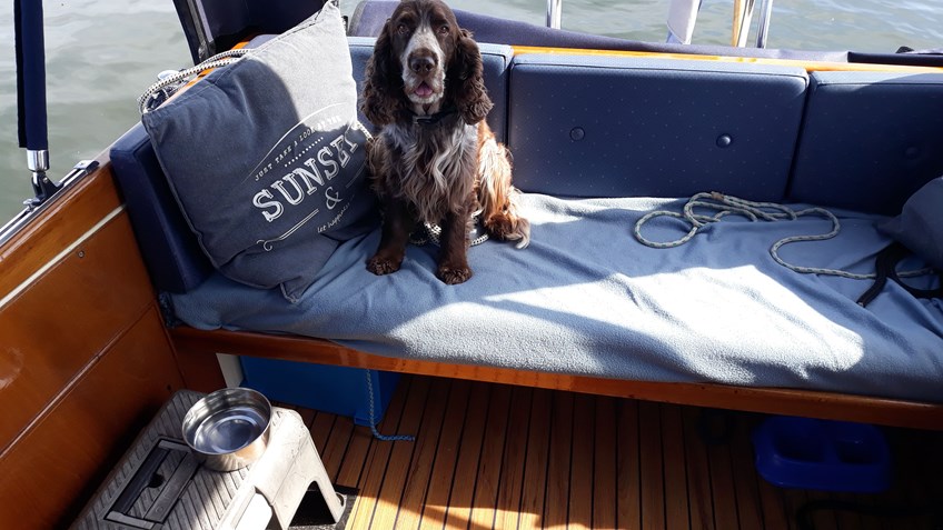IMG-20190914-WA0008